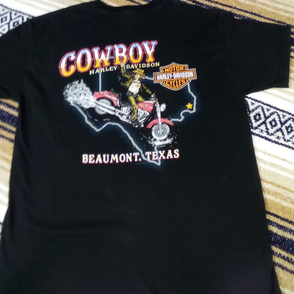 HARLEY DAVIDSON BEAUMONT TEXAS - Picture 7 of 10